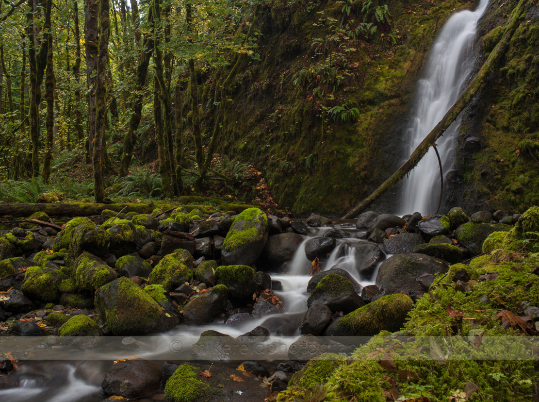 Moss and Falls